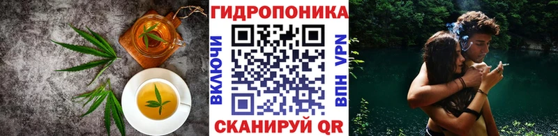 omg сайт цена Жирновск Печенье с ТГК марихуана
