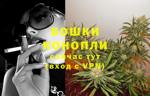молекула духа Козельск