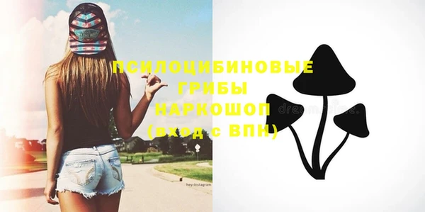 стаф Верхний Тагил