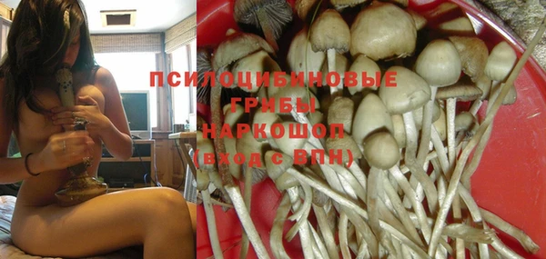 MDMA Богородицк