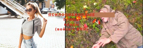 прущие крисы Кодинск